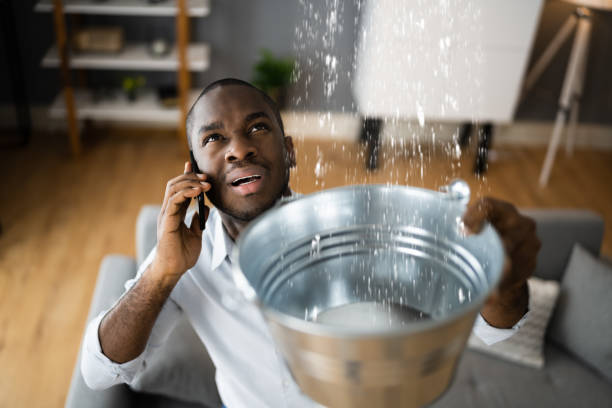 Best Ceiling water damage repair  in Indianola, MS