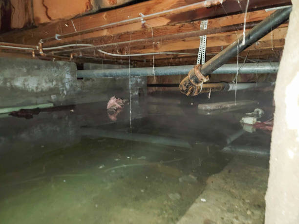 Best 24-hour water damage restoration  in Indianola, MS