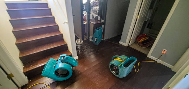 Best Sewage cleanup and water damage restoration  in Indianola, MS
