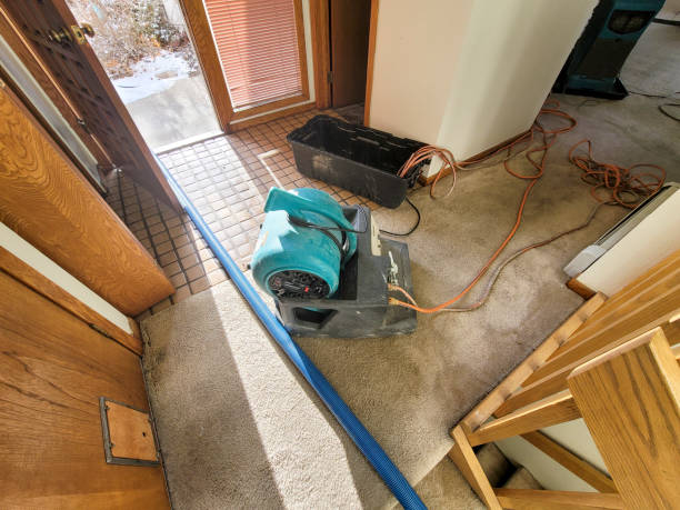 Best Professional water damage repair  in Indianola, MS
