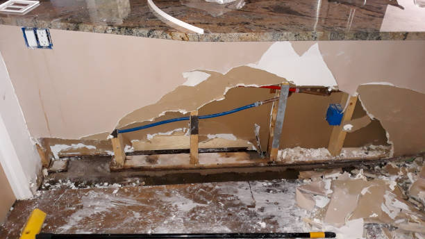Best Water damage cleanup near me  in Indianola, MS