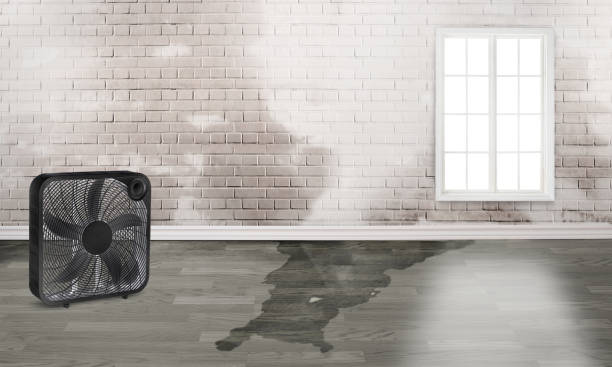 Best Commercial water damage restoration  in Indianola, MS