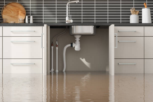 Best Water damage contractors near me  in Indianola, MS