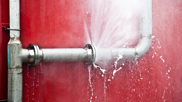 Best Mold removal after water damage  in Indianola, MS